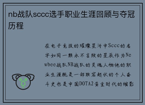 nb战队sccc选手职业生涯回顾与夺冠历程